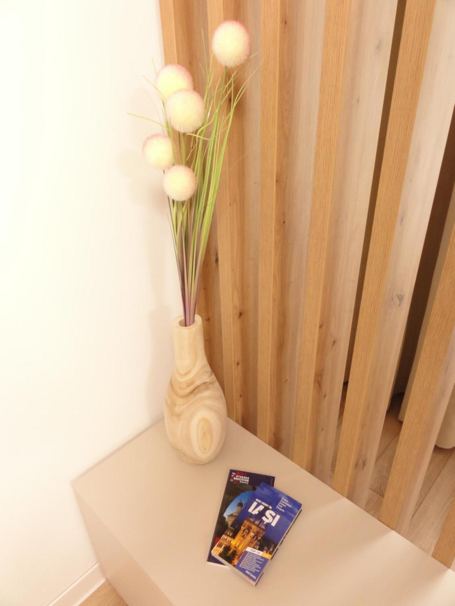 Central Luxury Apartment ياش المظهر الخارجي الصورة