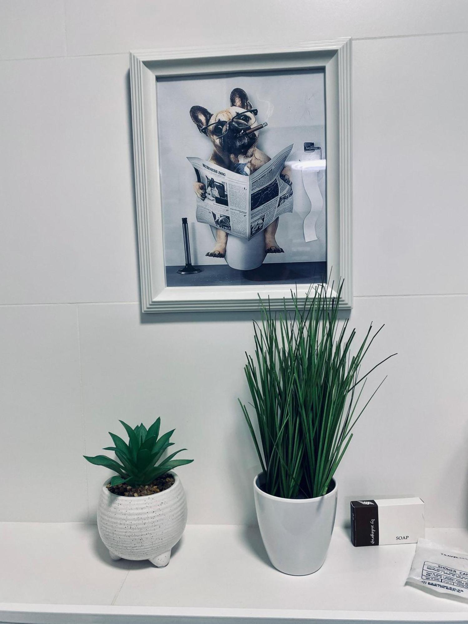 Central Luxury Apartment ياش المظهر الخارجي الصورة